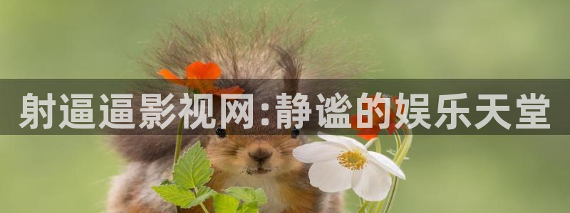 南瓜的价格怎么样：射逼逼影视网:静谧的娱乐天堂