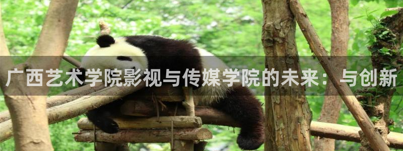 南瓜影视大全免费观看