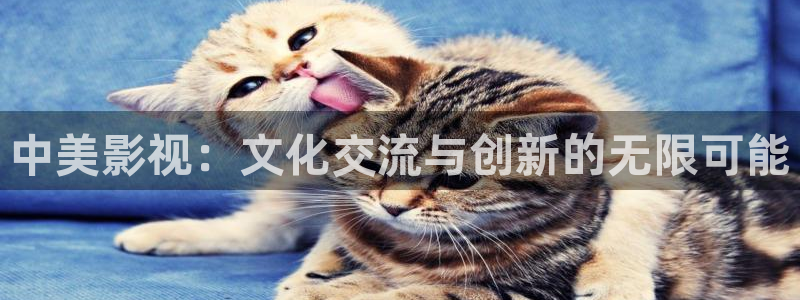 南瓜影视大全官方