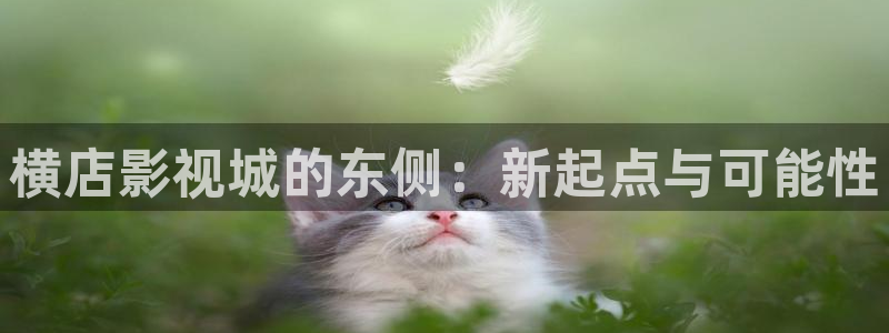 南瓜视频影院