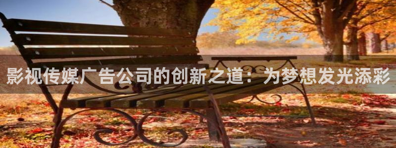 南瓜影视最新版下载：影视传媒广告公司的创新之道：为梦想发光添彩