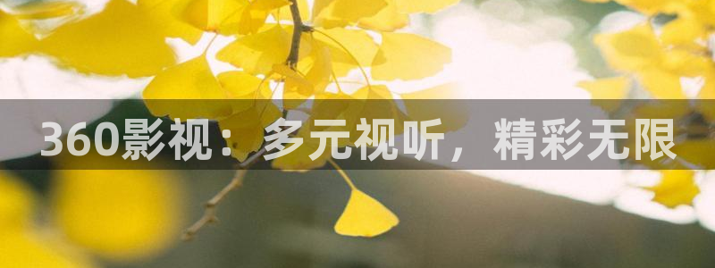 南瓜影视剧免费观看：360影视：多元视听，精彩无限