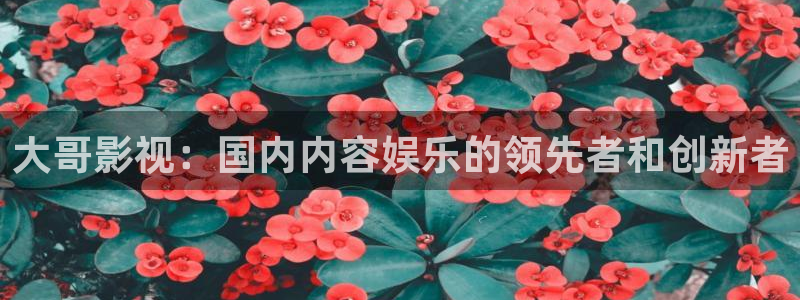 湖北密本南瓜：大哥影视：国内内容娱乐的领先者和创新者