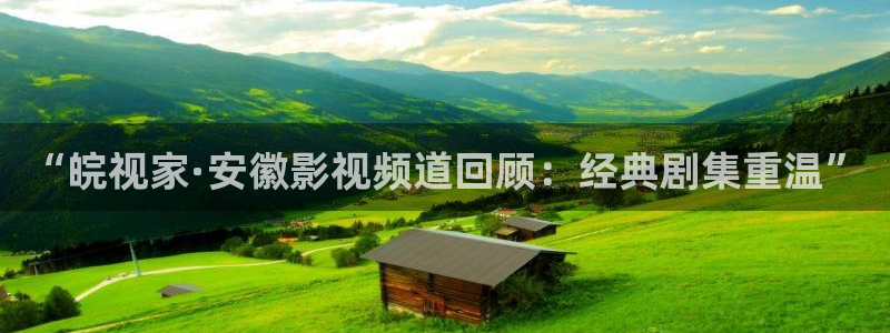 南瓜片