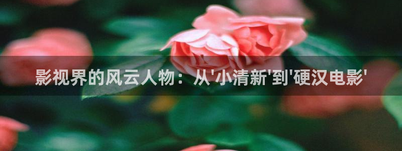 南瓜影视大全app：影视界的风云人物：从\'小清新\'到\'硬汉电影\'