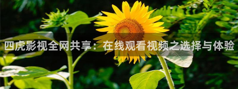 南瓜影视大全最新版本免费下载