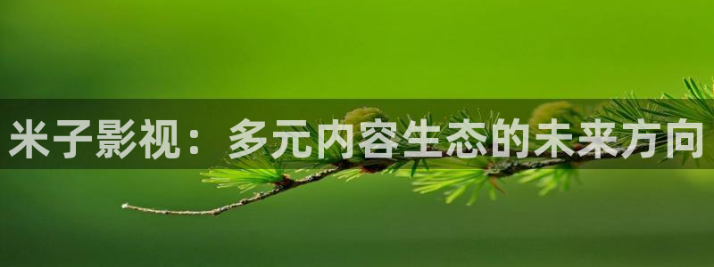 南瓜日本：米子影视：多元内容生态的未来方向
